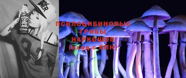 гашишное масло Заводоуковск